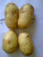 Картофель продовольственный