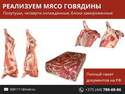 Мясо говядины. Полный пакет документов на РФ.